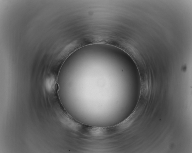 X0000092100142200709191314