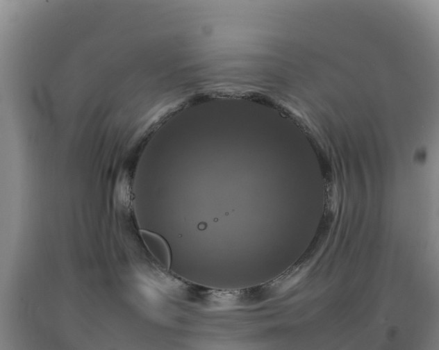 X0000092100143200709191314