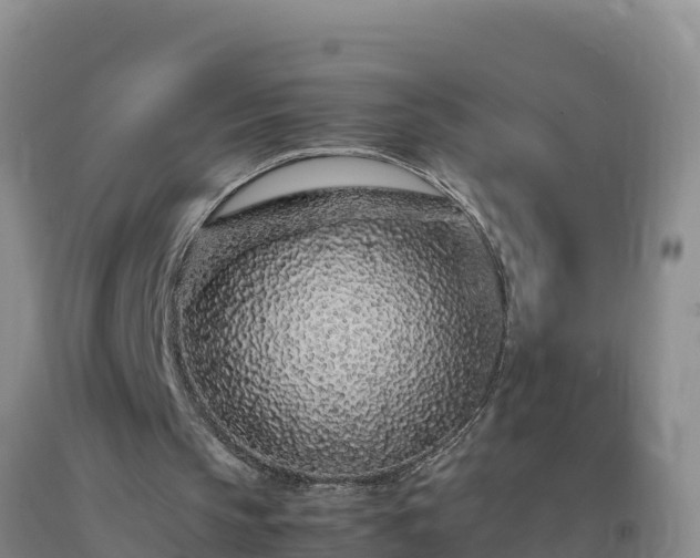 X0000092100145200709191314