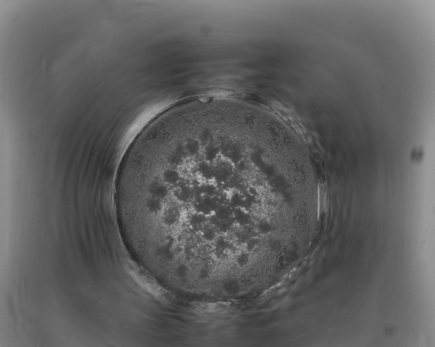 X0000092100147200709191314