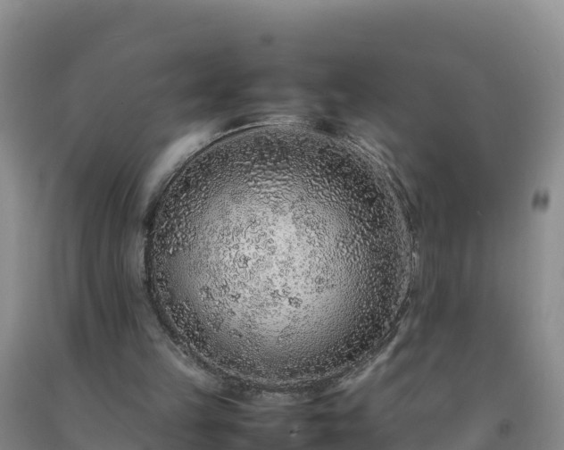 X0000092100149200709191314