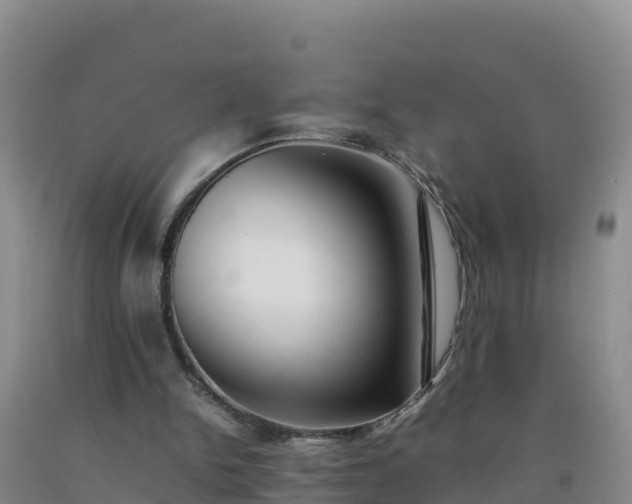 X0000092100150200709191314