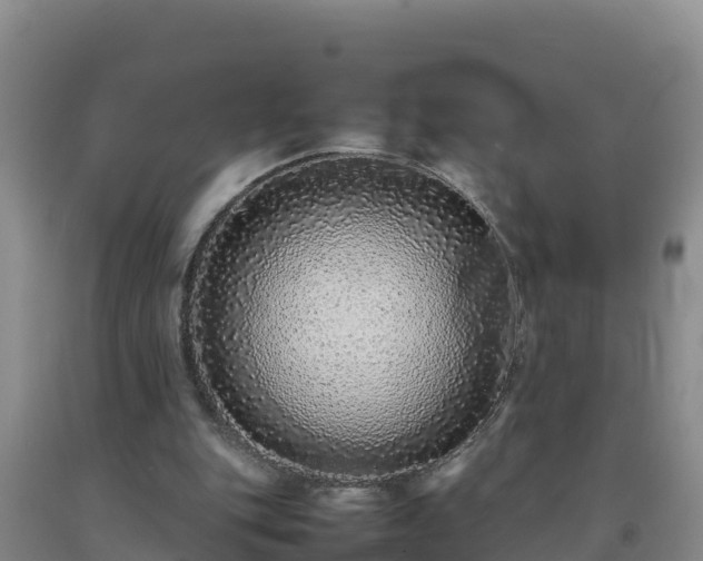 X0000092100151200709191314