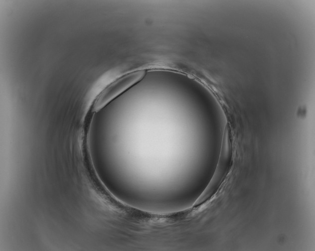 X0000092100152200709191314