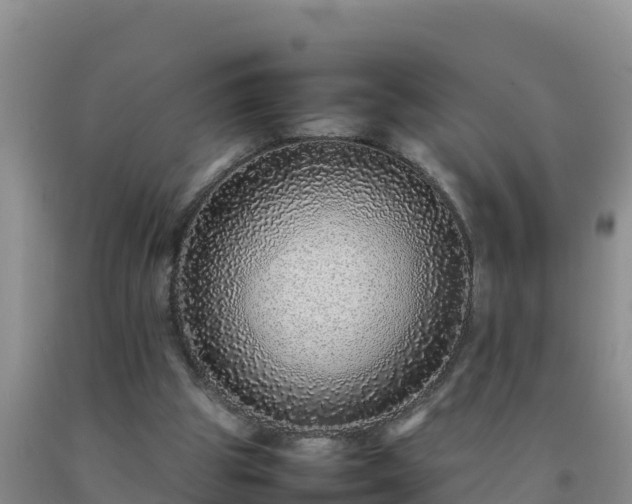 X0000092100153200709191314