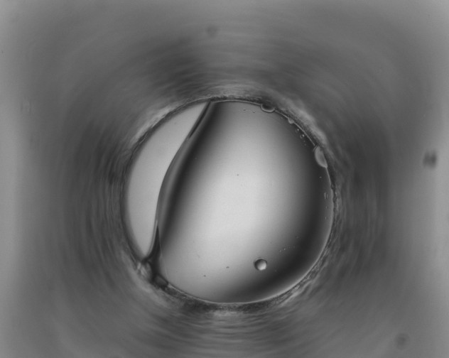 X0000092100154200709191314