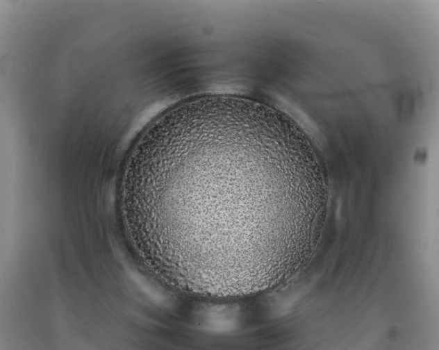 X0000092100155200709191314