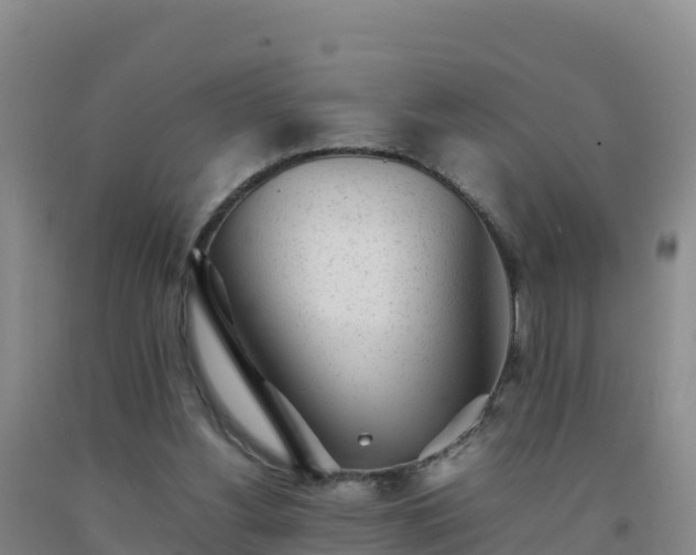 X0000092100156200709191314