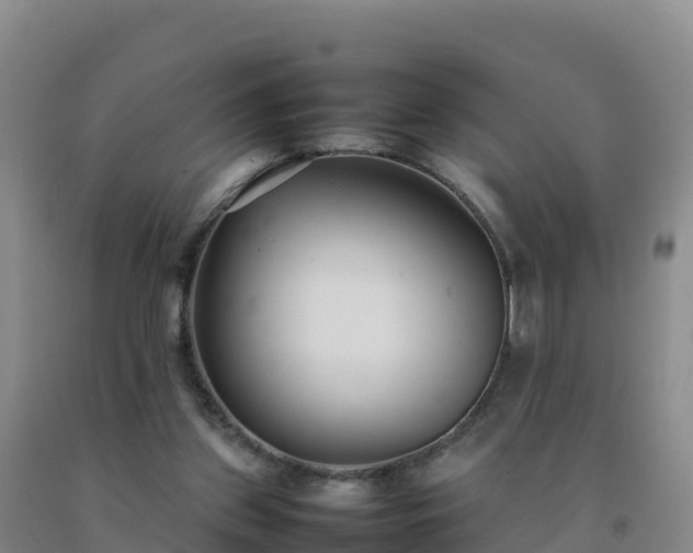 X0000092100157200709191314