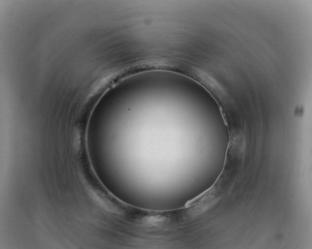 X0000092100158200709191314