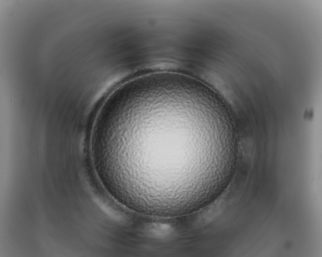 X0000092100159200709191314