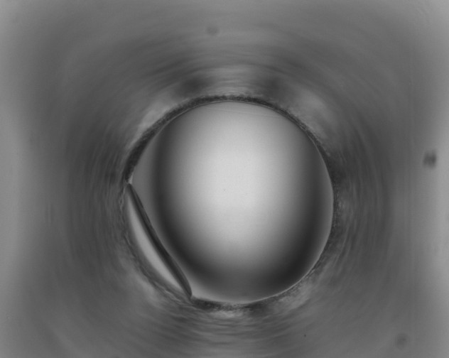 X0000092100160200709191314