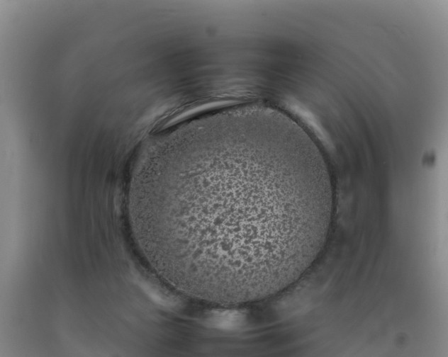 X0000092100161200709191314