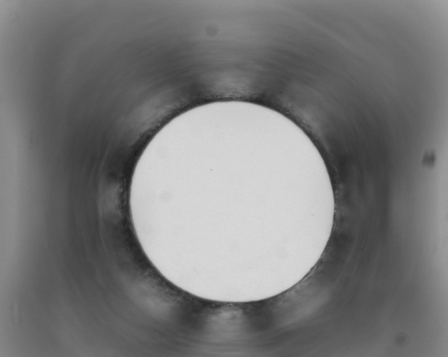 X0000092100162200709191314