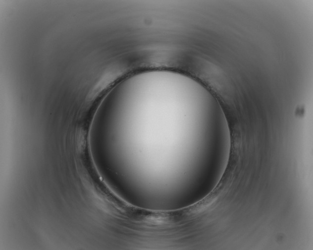 X0000092100164200709191314