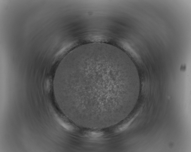 X0000092100165200709191314