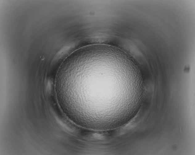 X0000092100166200709191314