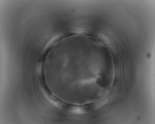 X0000092100167200709191314