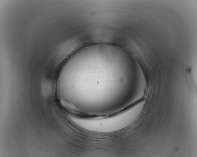 X0000092100168200709191314