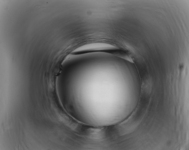 X0000092100170200709191314