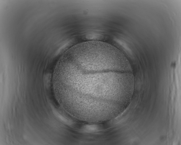 X0000092100171200709191314