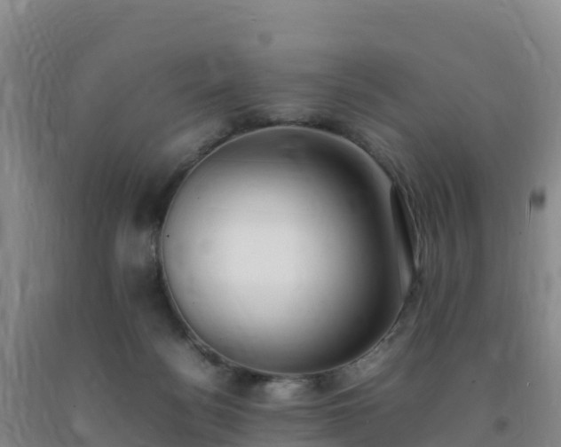 X0000092100172200709191314