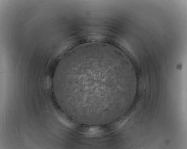 X0000092100173200709191314