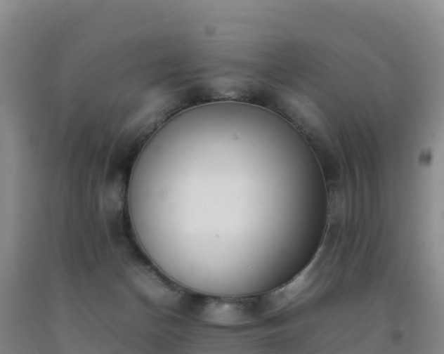 X0000092100174200709191314