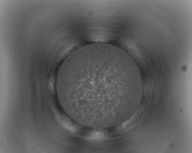 X0000092100175200709191314