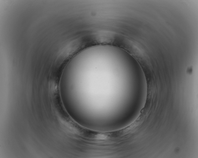 X0000092100176200709191314