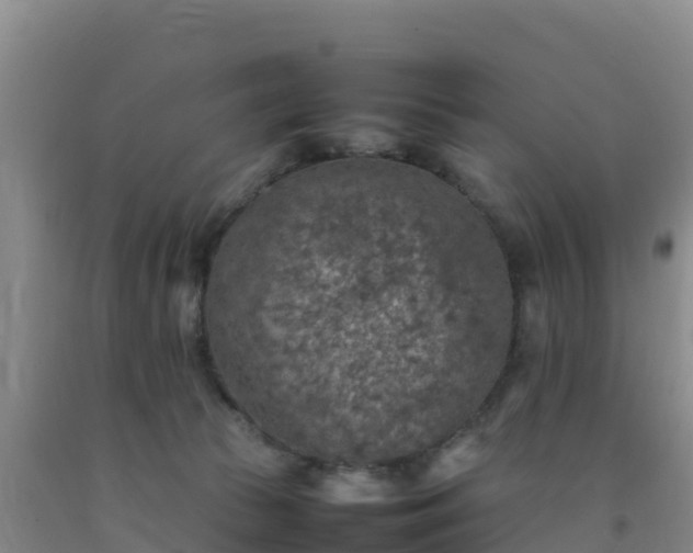 X0000092100177200709191314