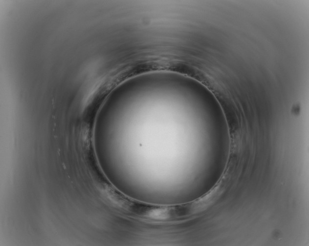 X0000092100178200709191314