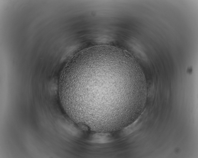 X0000092100179200709191314