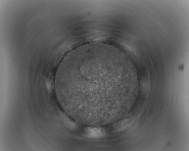 X0000092100181200709191314