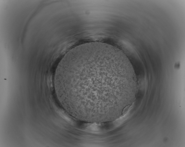 X0000092100182200709191314