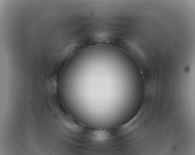 X0000092100183200709191314