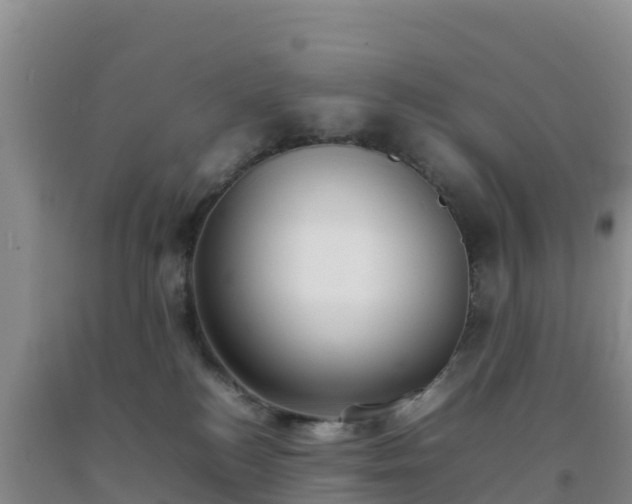 X0000092100184200709191314