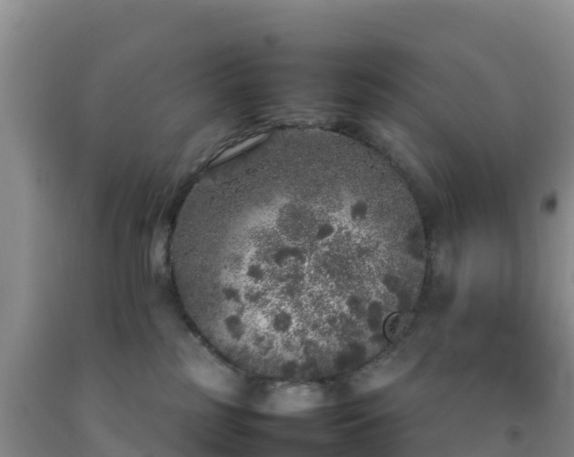 X0000092100185200709191314