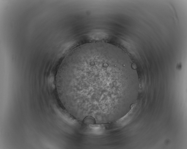 X0000092100187200709191314