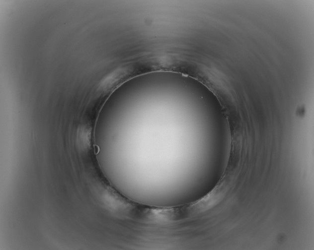 X0000092100188200709191314