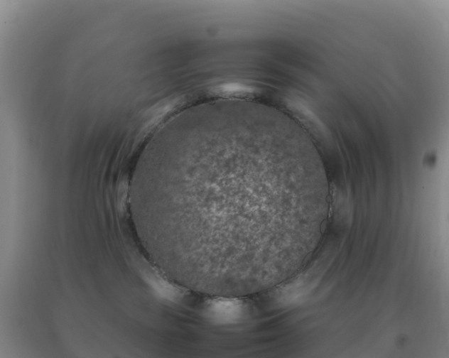 X0000092100189200709191314