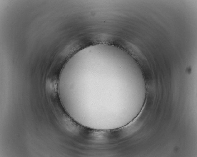 X0000092100190200709191314