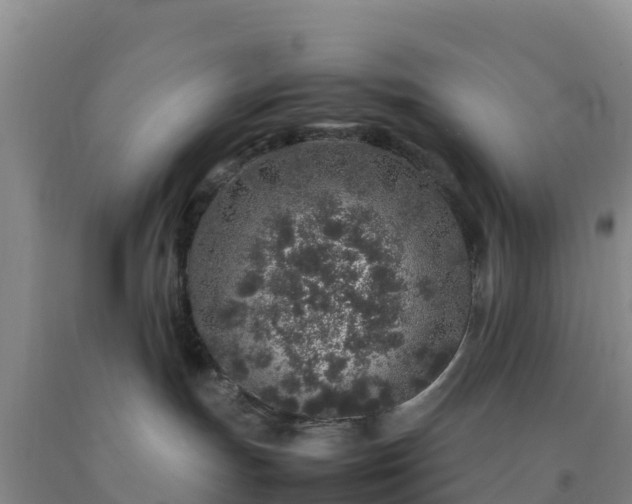 X0000092100191200709191314