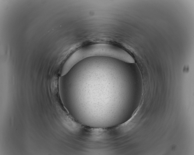 X0000092100192200709191314