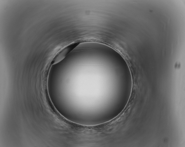 X0000092100193200709191314