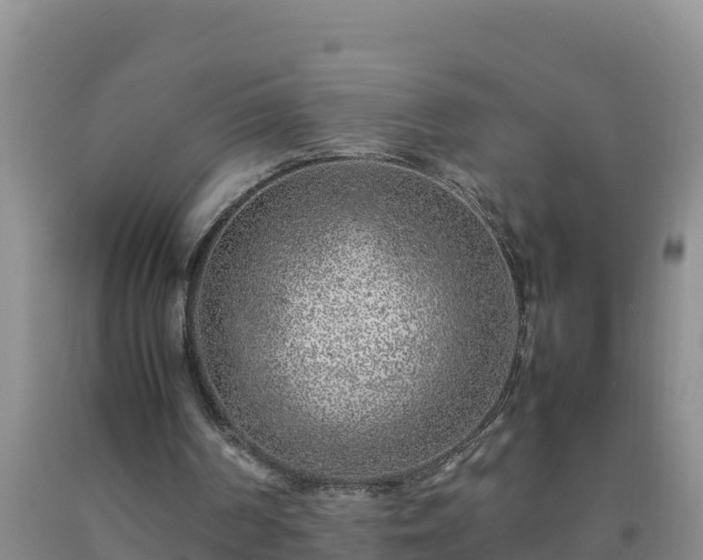 X0000092100194200709191314