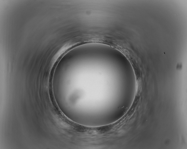 X0000092100195200709191314