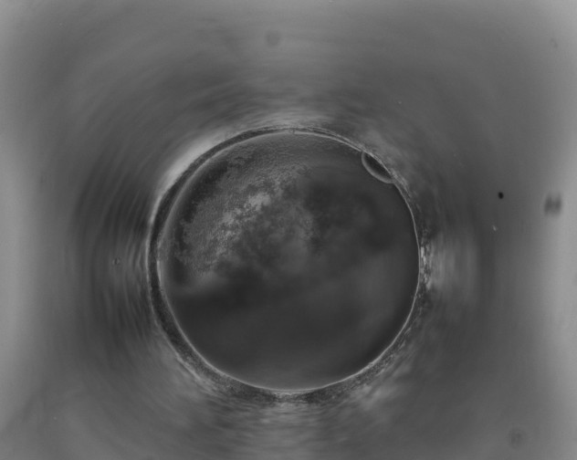 X0000092100196200709191314