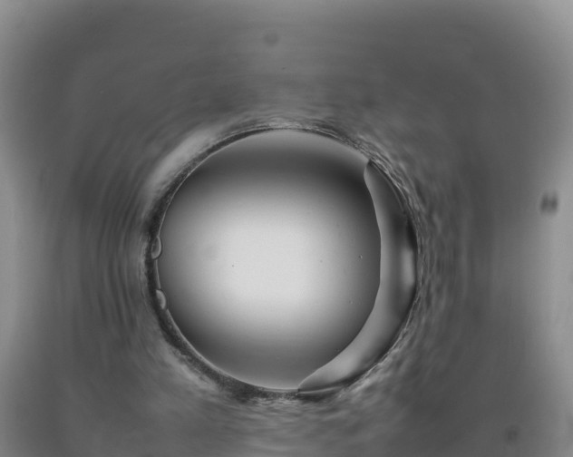 X0000092100197200709191314