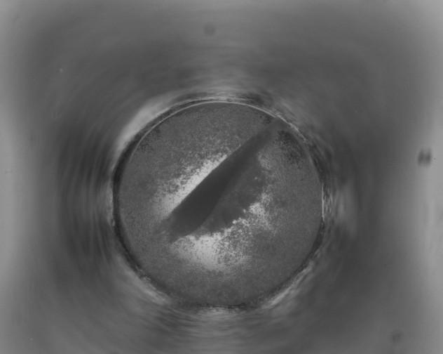 X0000092100198200709191314